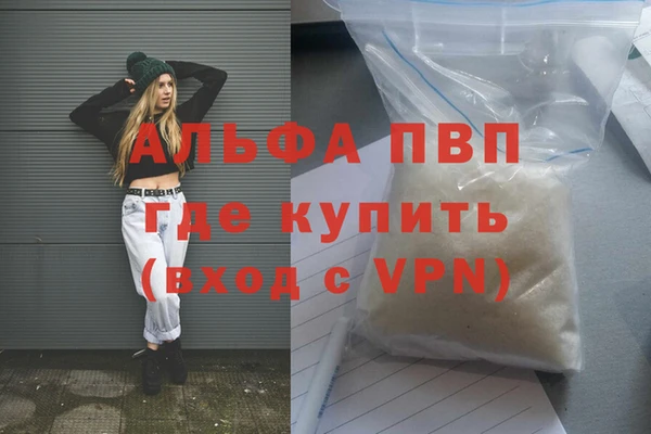 прущие грибы Магадан