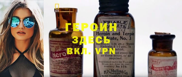 прущие грибы Магадан