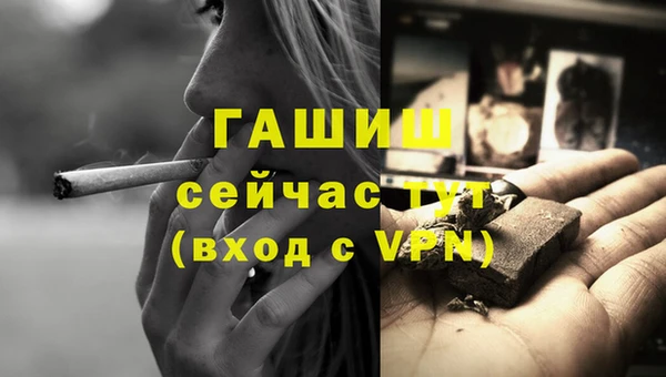 прущие грибы Магадан