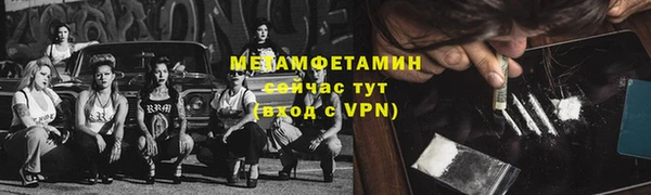 прущие грибы Магадан