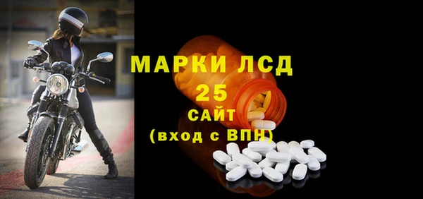 дживик Майский