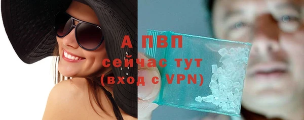 дживик Майский