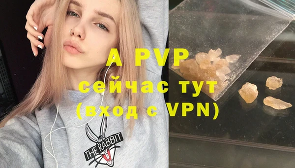 прущие грибы Магадан
