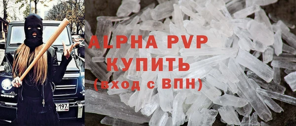 прущие грибы Магадан