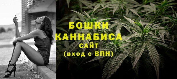 дживик Майский