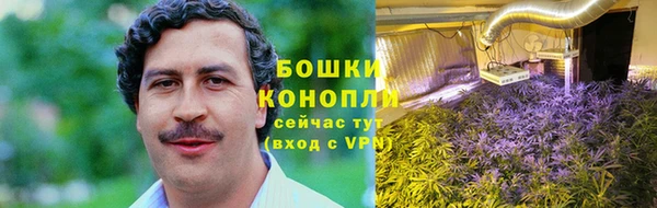 прущие грибы Магадан