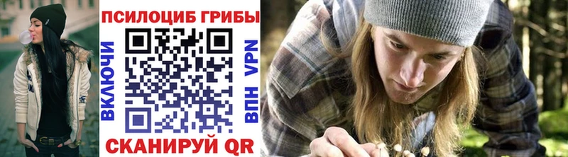 Купить закладки  Апшеронск  Псилоцибиновые грибы Psilocybe 